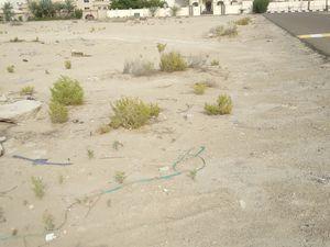 For sale a distinctive land in Mohammed bin Zayed City