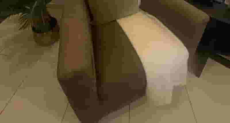 A clean sofa 