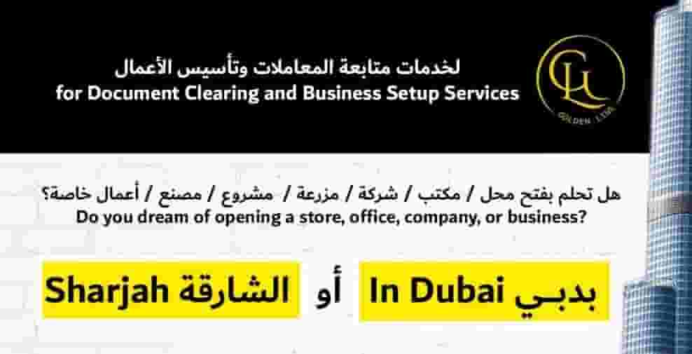 Establishing companies and businesses 