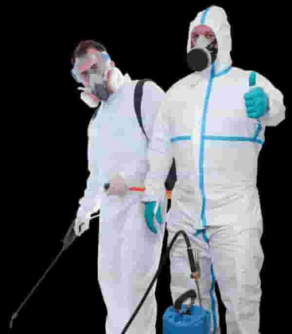 Pest control company  