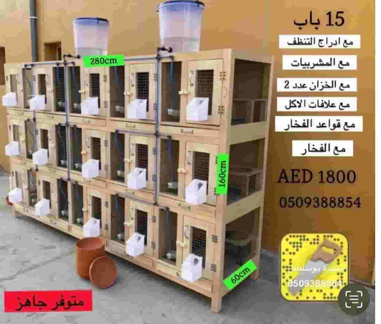 Pigeon nests