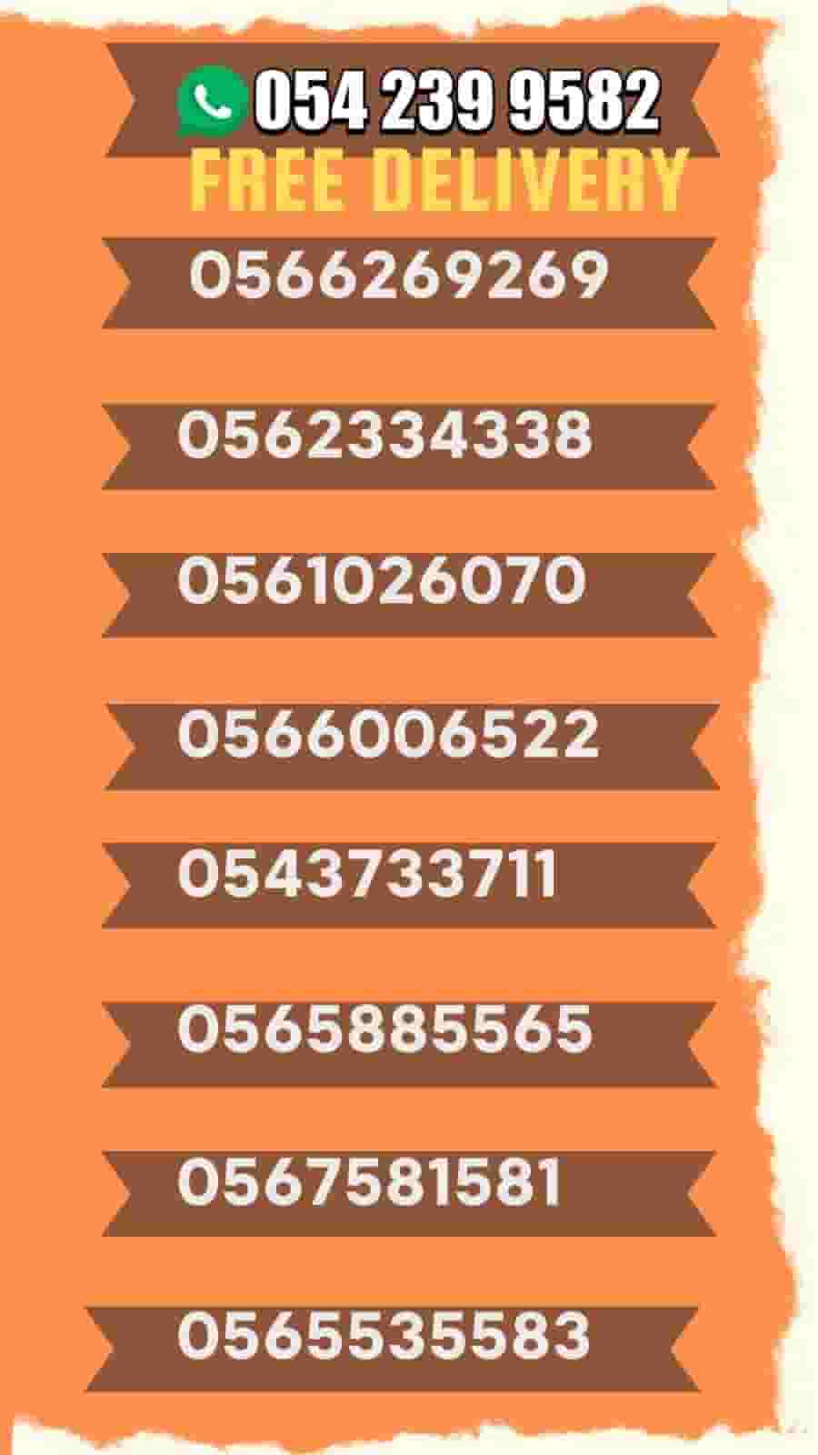 Line of Elsphre Figures