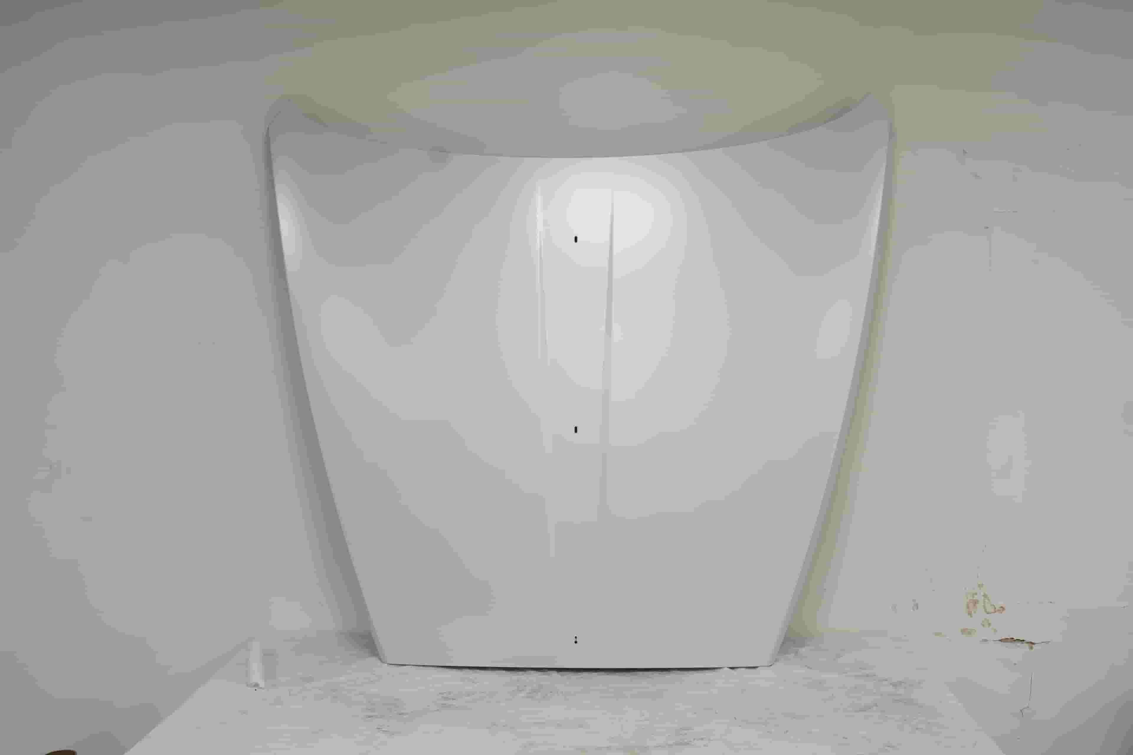 Rolls Royce Dawn Hood White OEM 7347497