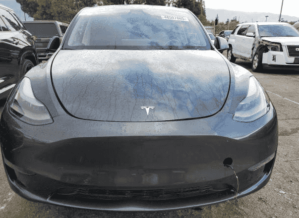 2024 Tesla Model Y 2024 