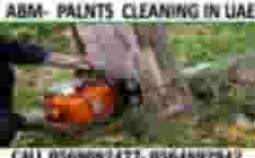 Garden cleaning & Maintenance Contractor