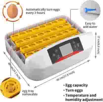 Automatic 56 Eggs Incubator with Built-in Egg Turner