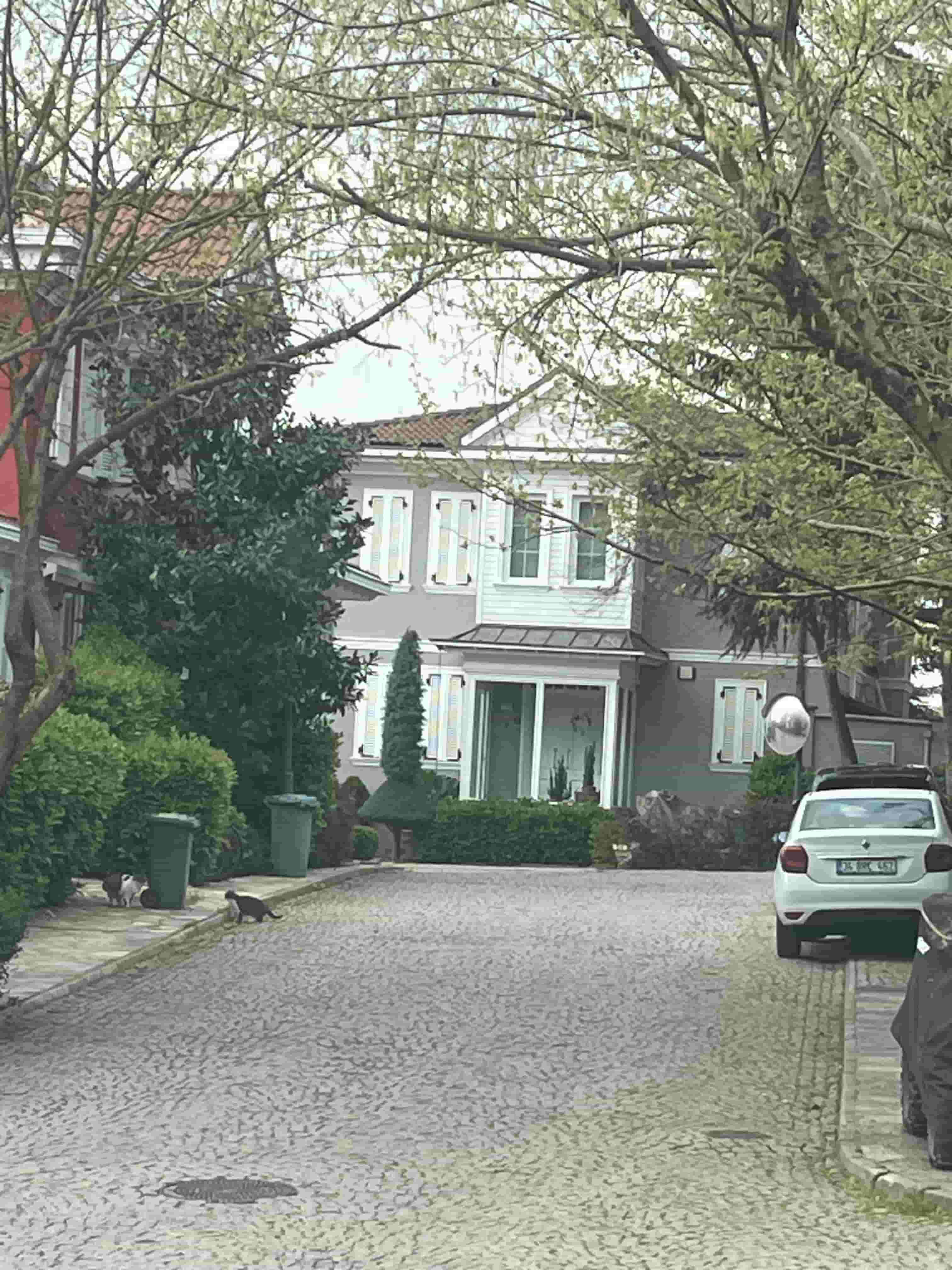 5 B/R Villa for sale in istanbul turkey
