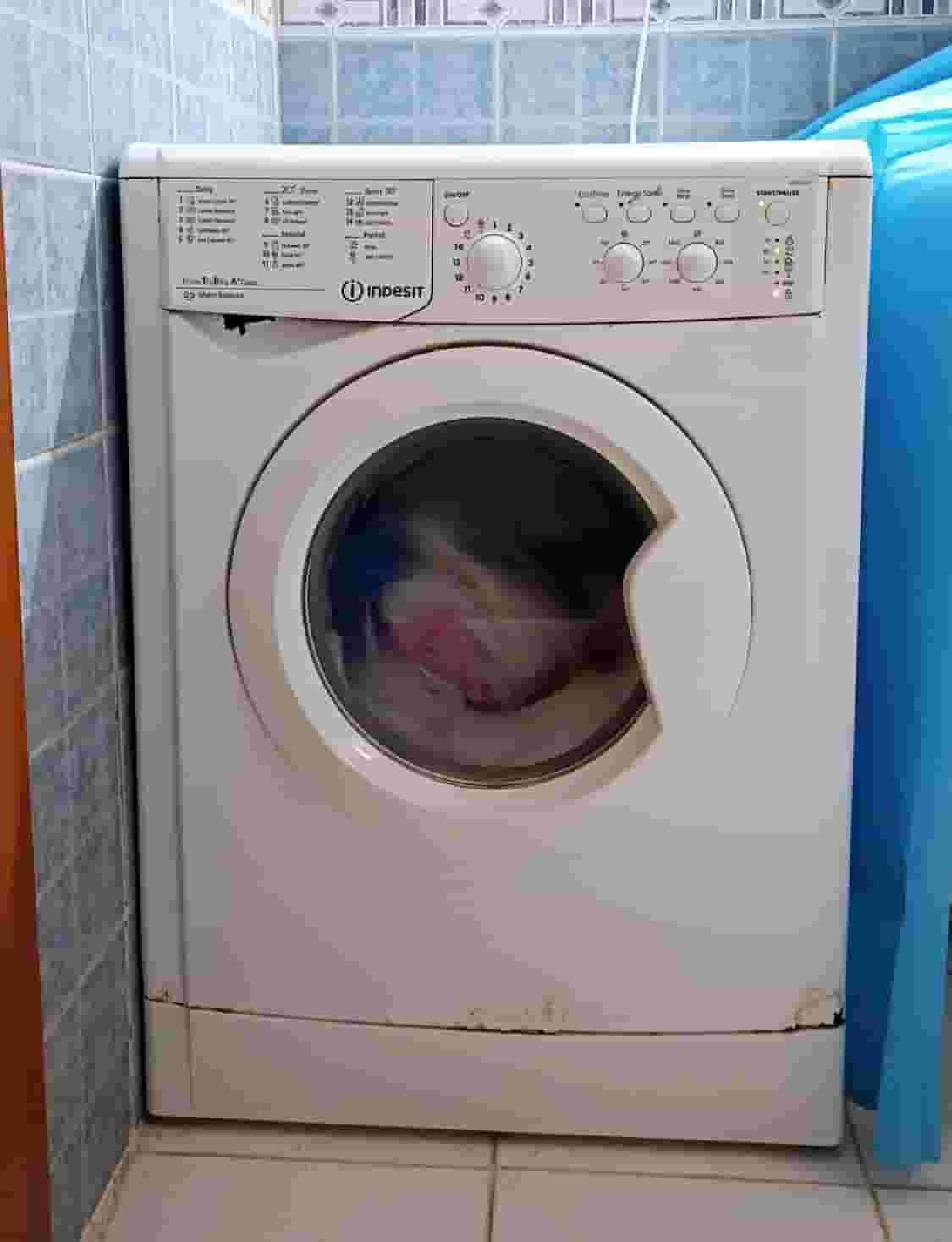 For sale: the original Indesit washing machine  