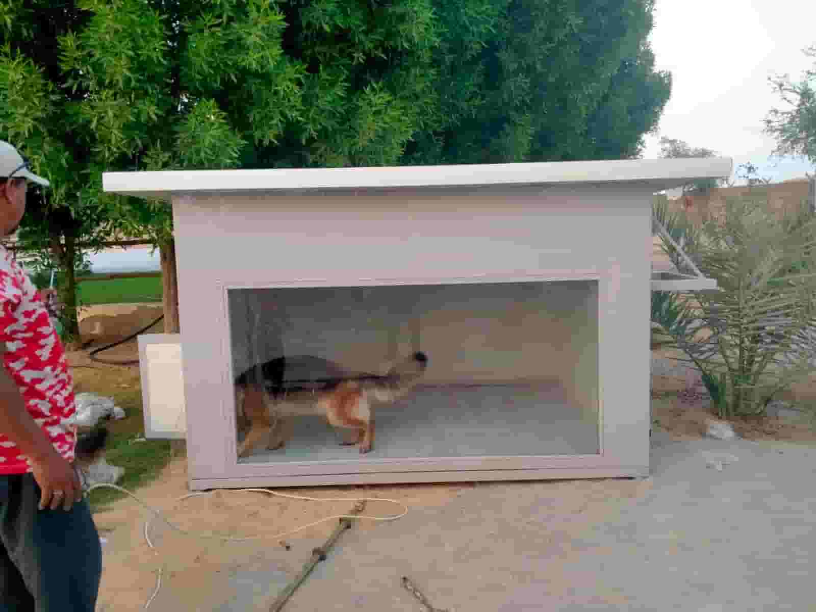 Dog house uae