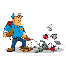 Pest control company in Ras Al Khaimah