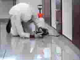 Pest control company in Sharjah