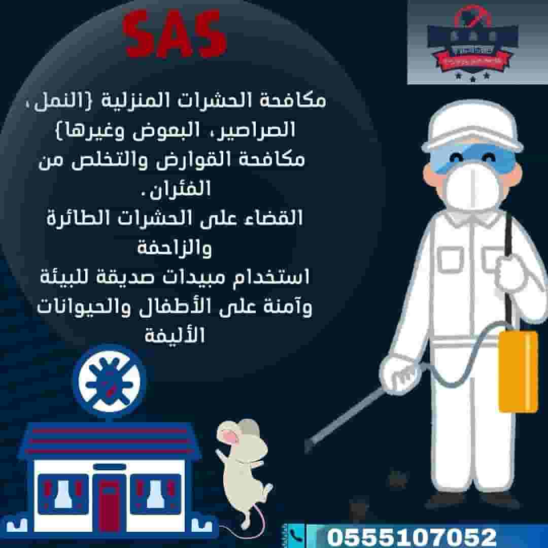 Pest control company in Umm Al Quwain