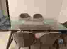 سفره مع خمسه كراسي استعمال بسيط