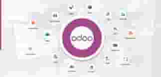 We are looking for an Odoo expert