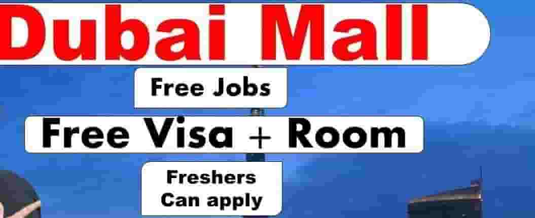 Dubai mall vacancy