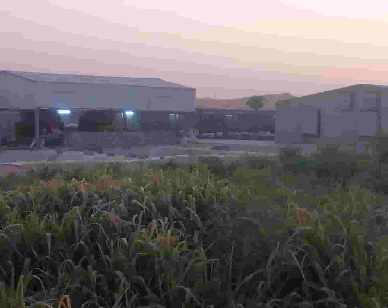 عزبة للبيع في رماح