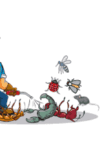 Pest control company in Ras Al Khaimah