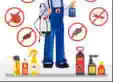 Pest control company in Ajman