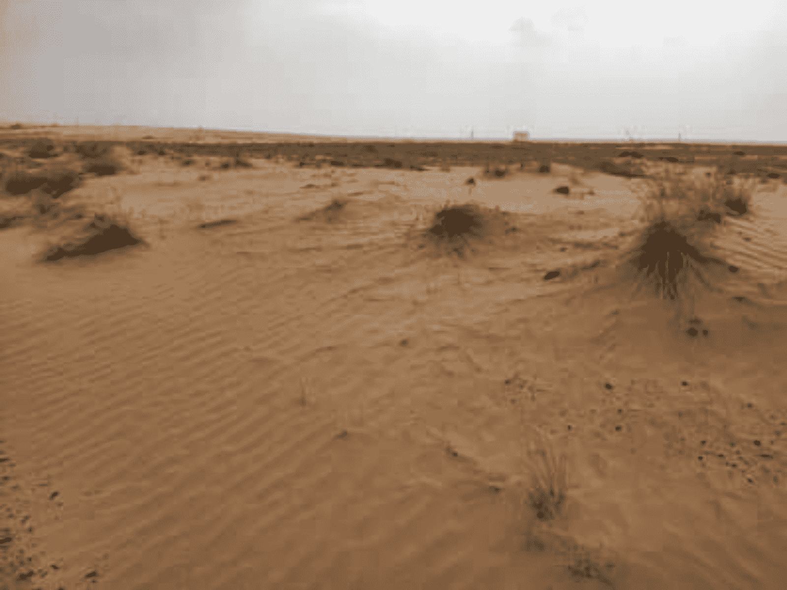 ارض للبيع في شخبوط ثاني ارض