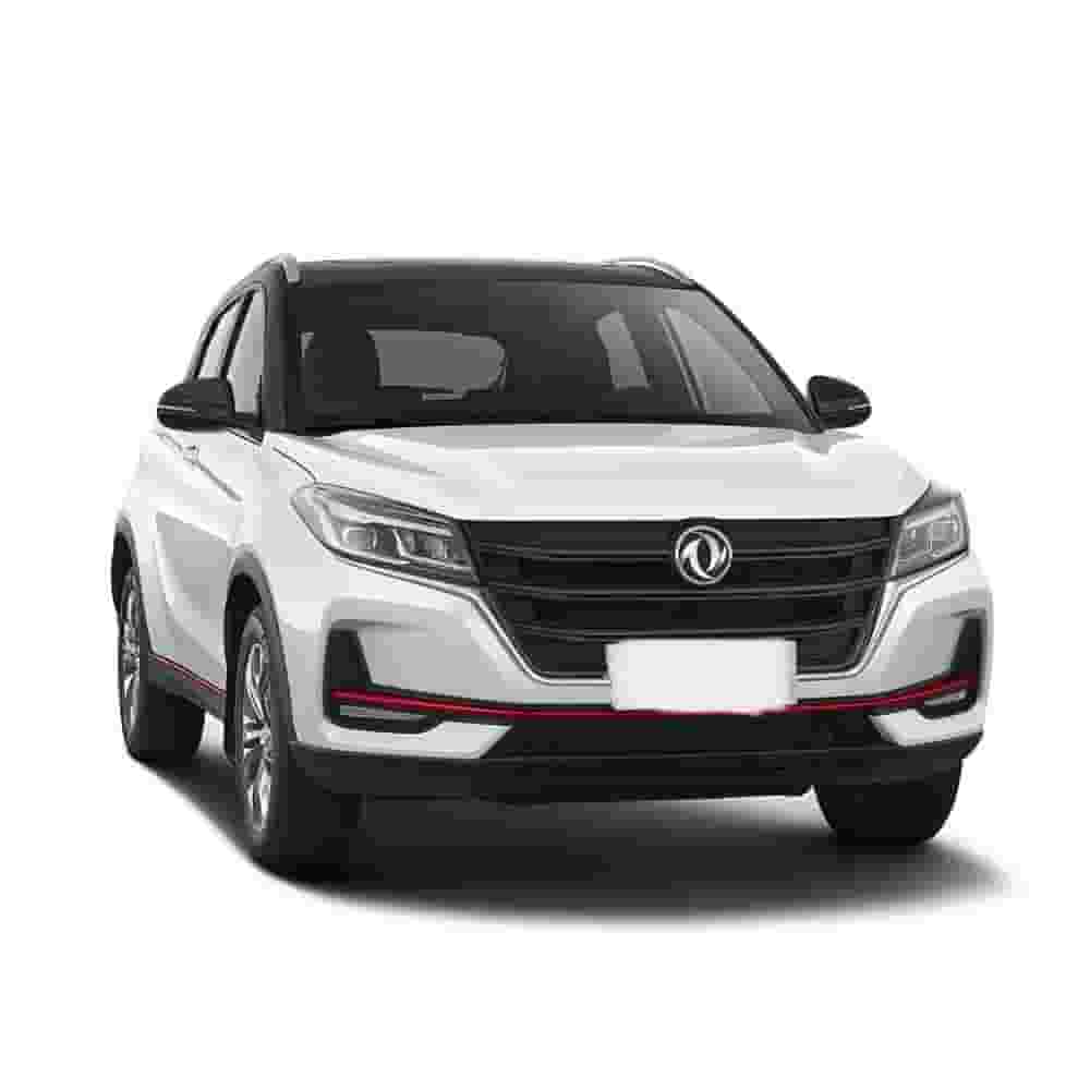 Rent a Fengon car model: 2025