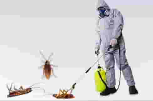 pest control company