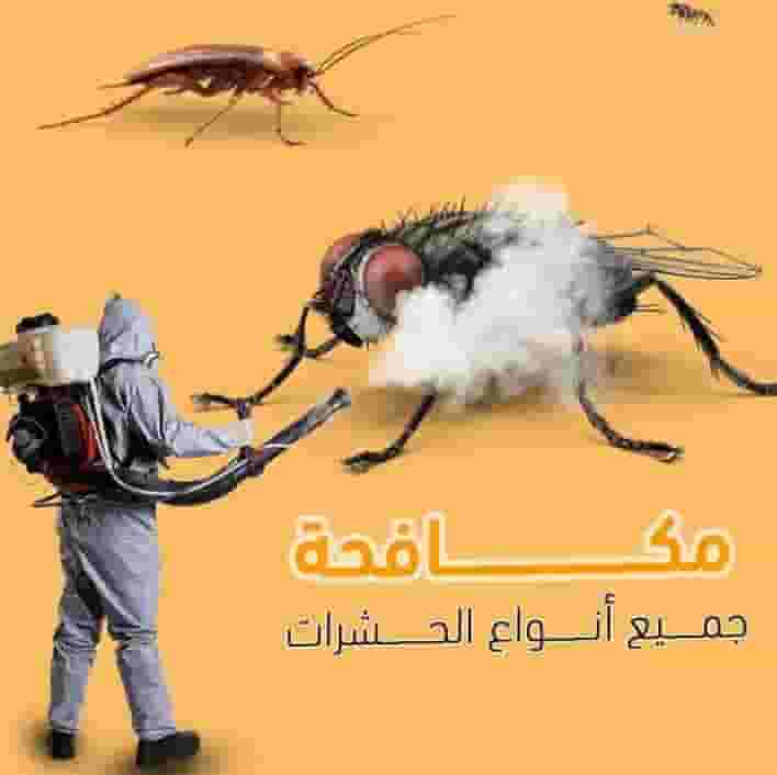 مكافحة الحشرات