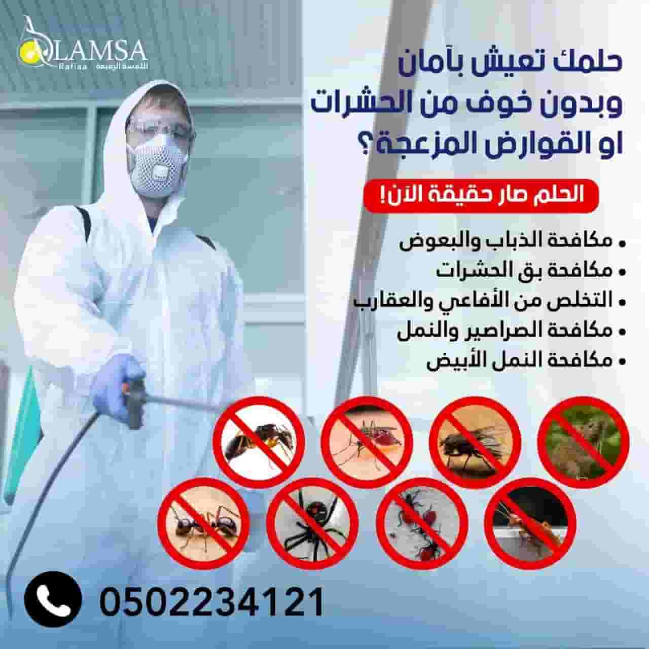 شركه مكافحه حشرات في أبوظبي