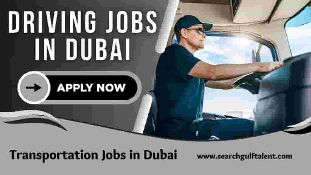 Dubai drivers job