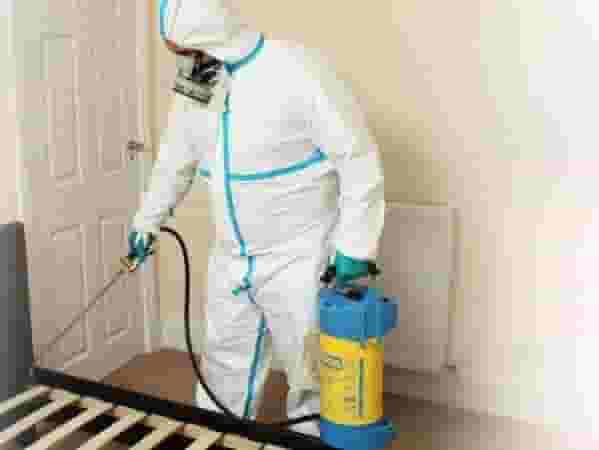 pest control