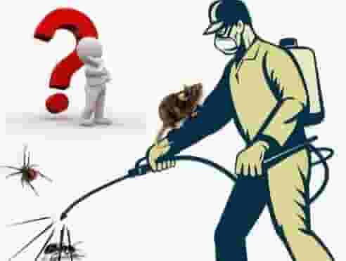 Pest control company
