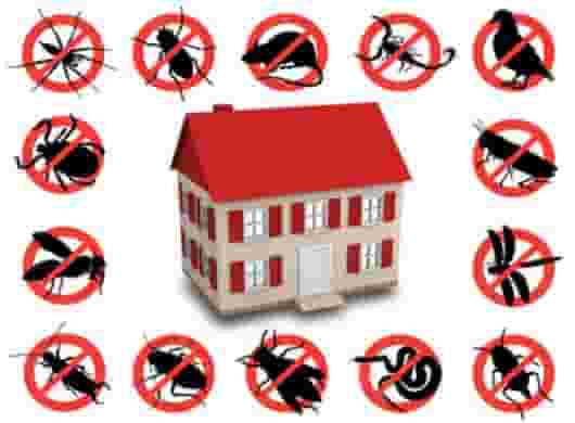 pest control company