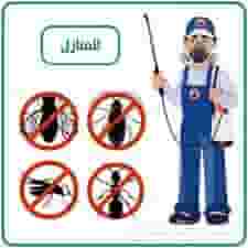 Pest control company in Ajman