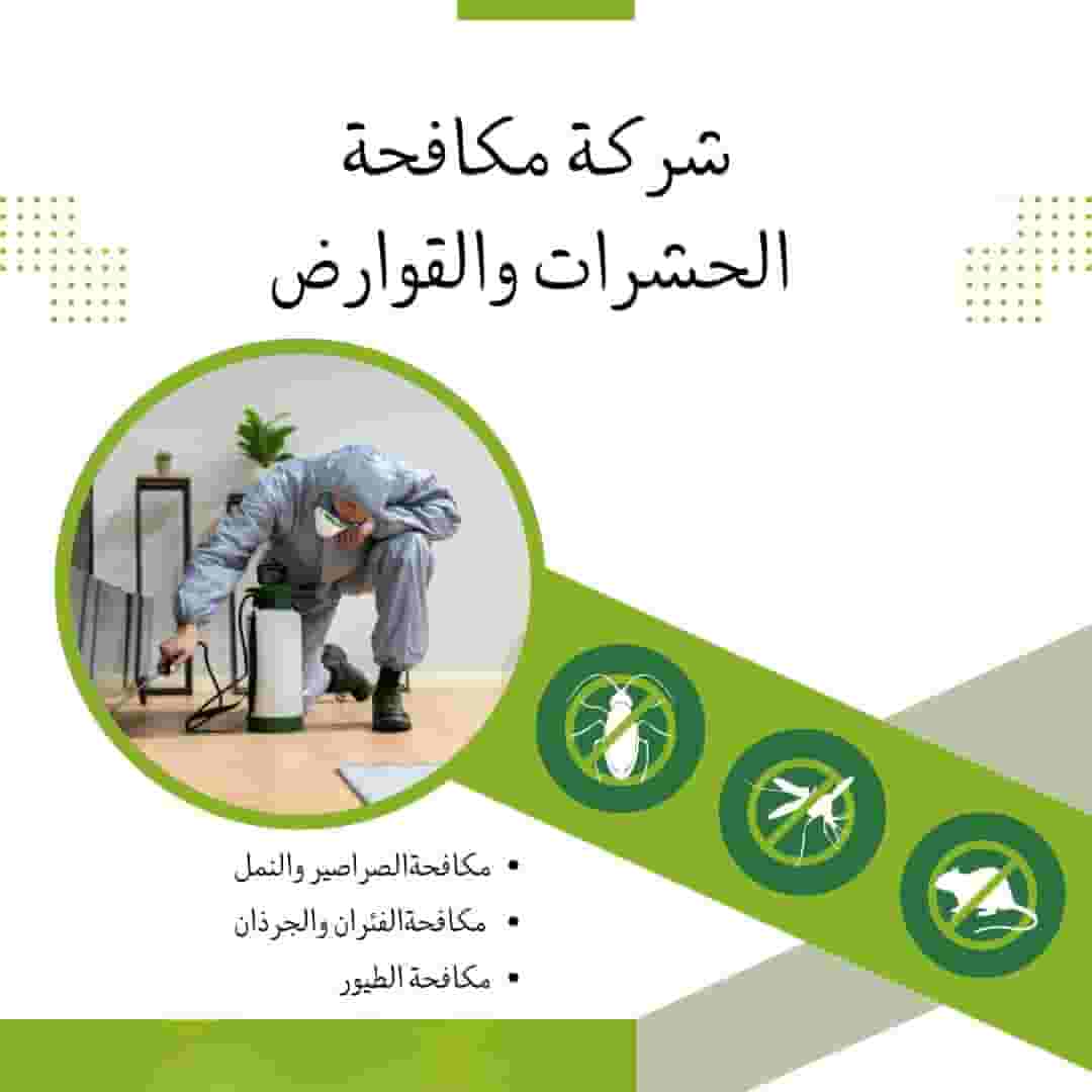 Pest control company in Umm Al Quwain