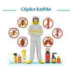 شركة مكافحة حشرات في راس الخيمة