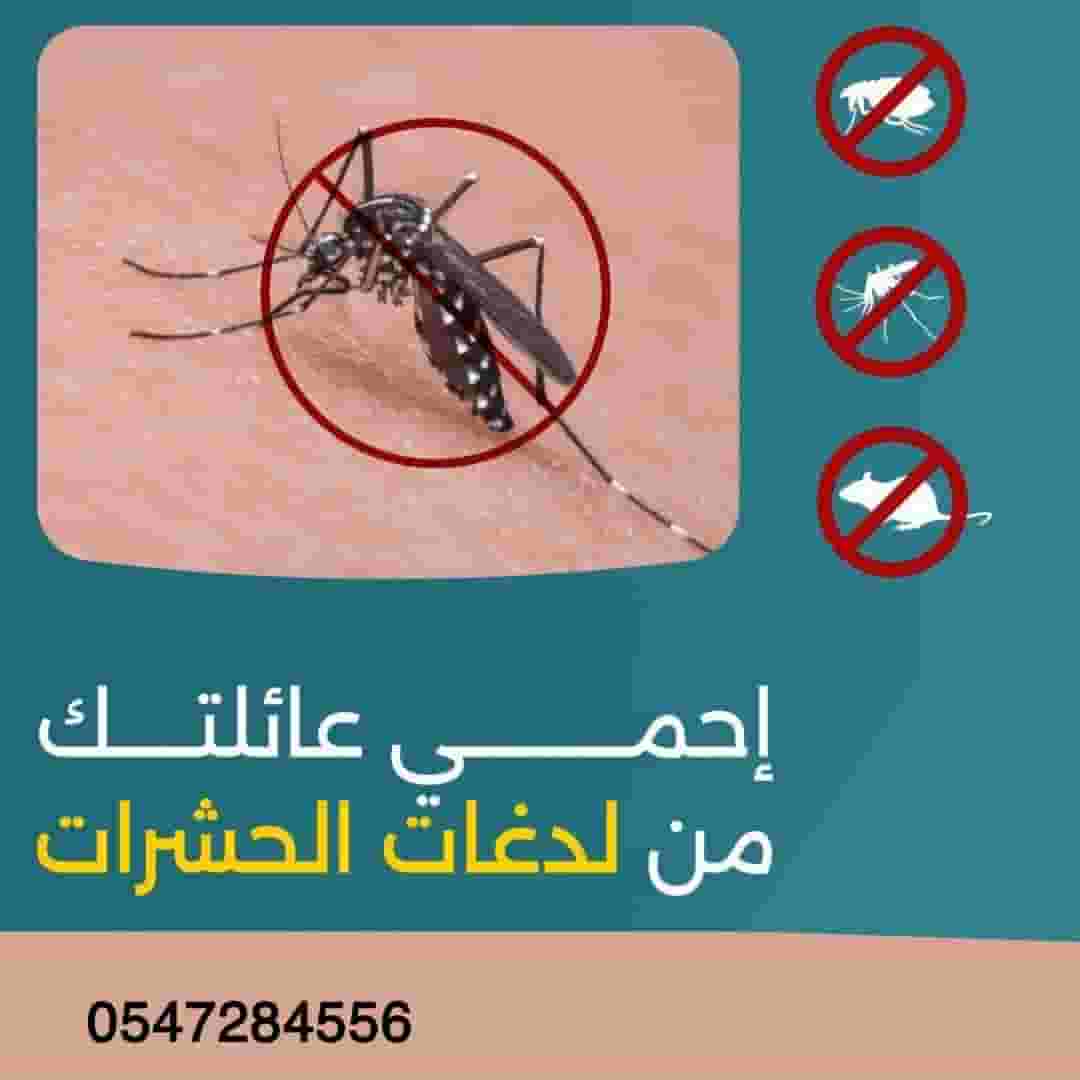 مكافحة الحشرات والقوارض