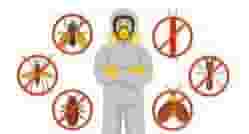 Pest control company in Ras Al Khaimah
