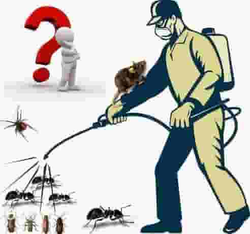 pest control company