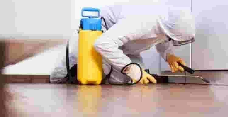 pest control company