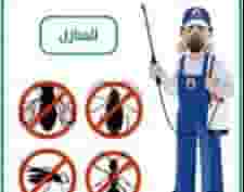 Pest control company in Ajman