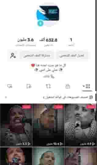 حساب تيك البييع