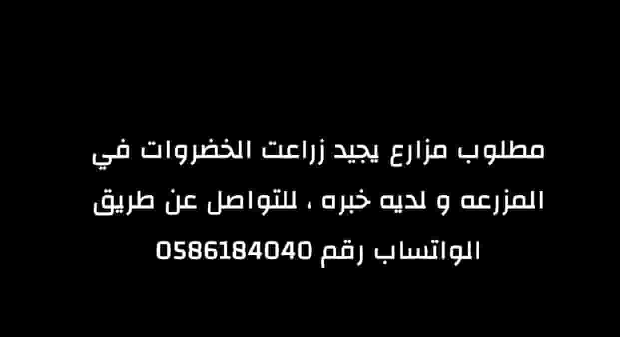 مطلوب مزارع في ابوظبي