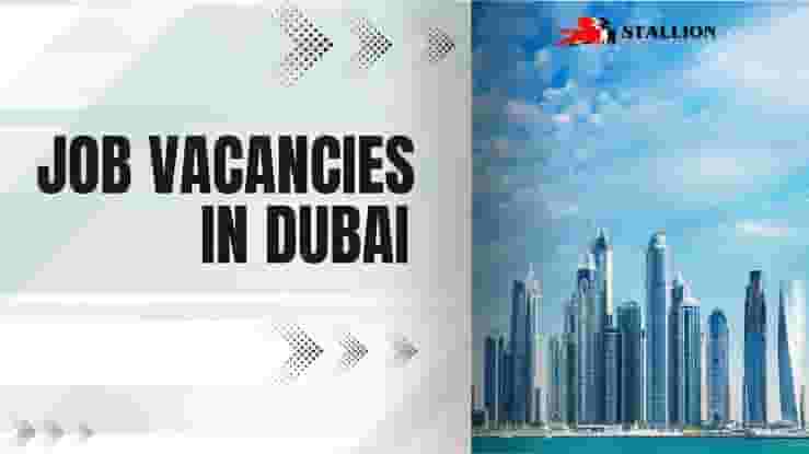 مطلوب في مجال تقنية المعلومات