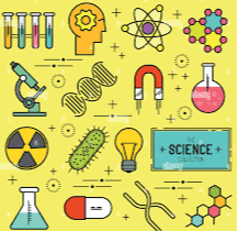 Teacher of different subjects 