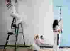 يتوفر دهانات على مدار الساعة