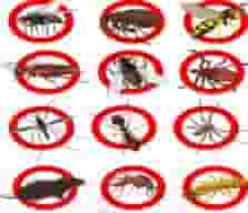 مكافحة الحشرات