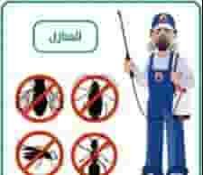 Pest control company in Ajman
