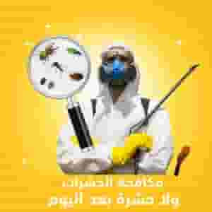 Pest control company in Sharjah