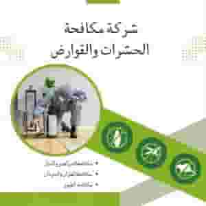 Pest control company in Dubai