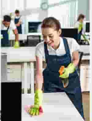 خادمة المنزل