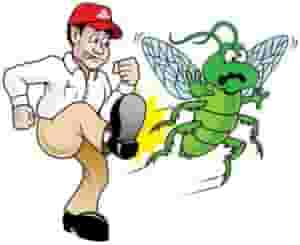 Pest and rodent control